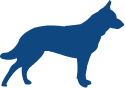 Dogs 25–75 lbs